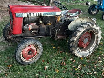 CARRARO 230