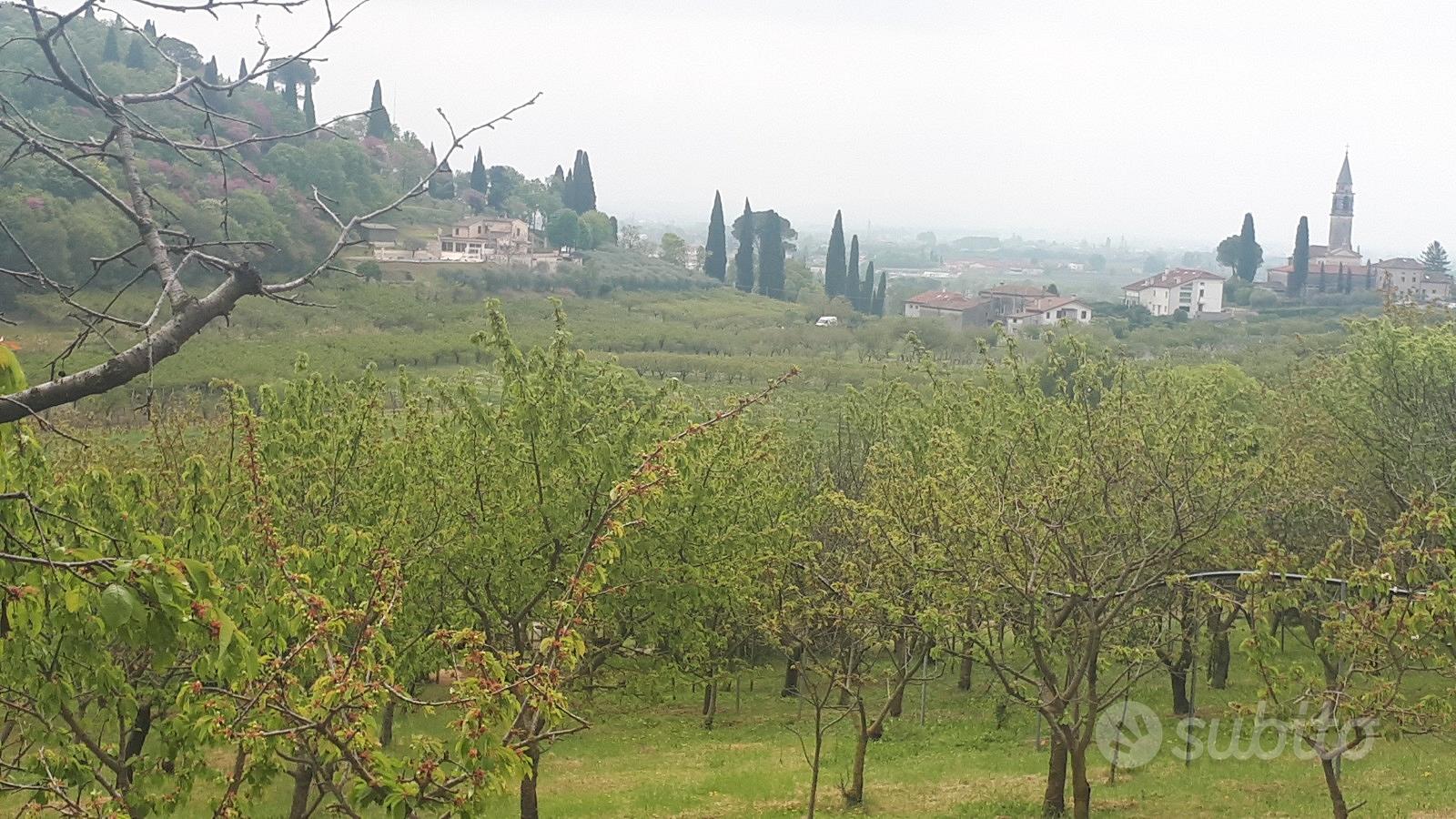 Terreno agricolo - Vista 4