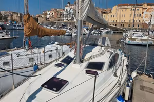 Delphia 37
