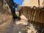 Immagine 11