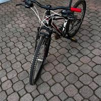 Mountant Bike Bottecchia - buone condizioni