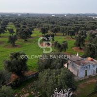 Terreno agricolo - Ostuni