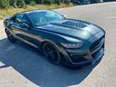 ford-mustang-5-0-v8-gt-manuale-50th-year-edition