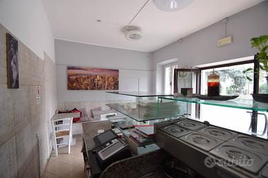 Rif.2460CA55481| negozio vigolzone