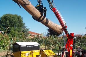 Gruetta tfg 300l mini