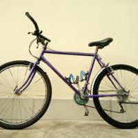 Bici MTB Viola ruote 26" cambio Shimano 21 marce