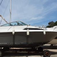 Barca a Motore SEA RAY 250