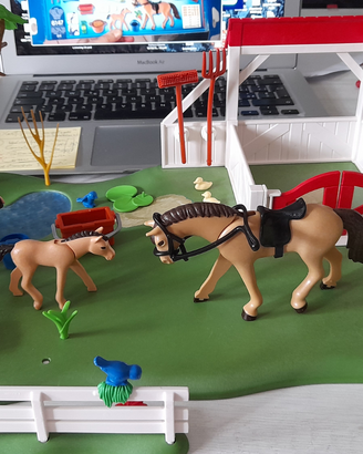 Playmobil country