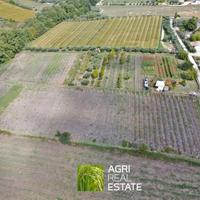 Velletri (RM) - Terreno 2,5 HA con pozzo | TR448