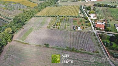 Velletri (RM) - Terreno 2,5 HA con pozzo | TR448