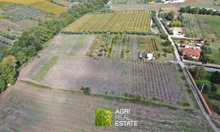 Velletri (RM) - Terreno 2,5 HA con pozzo | TR448