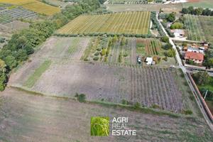 Velletri (RM) - Terreno 2,5 HA con pozzo | TR448