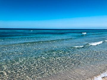 A 20 METRI DAL MARE disponibile AGOSTO