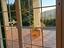 Immagine 6