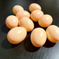 10 pz. Uova Finte per Galline in Plastica