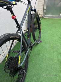 Bici da mountain bike