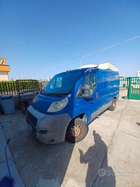 fiat ducato 2500