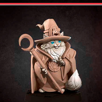 Tbaxi gatto mago miniatura D&D