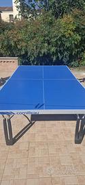 Tavolo da ping pong
