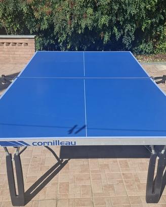 Tavolo da ping pong