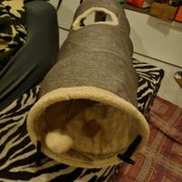 tunnel per gatti