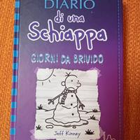 diario di una schiappa:giorni da brivido