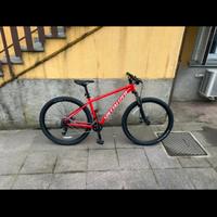 SPECIALIZED  ROCKHOPPER 29
