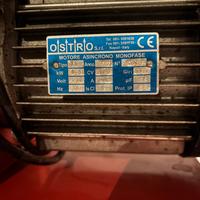 Tritacarne elettrico