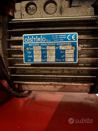 Tritacarne elettrico