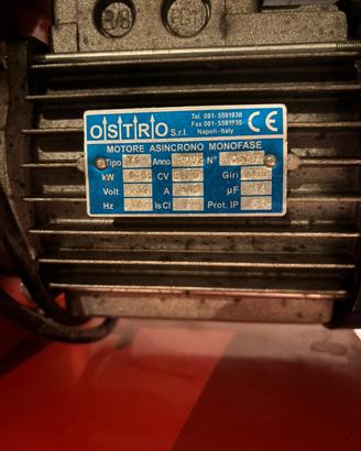 Tritacarne elettrico