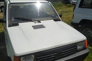 Fiat panda cilindrata 1100