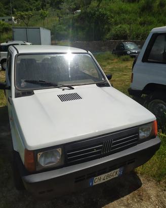 Fiat panda cilindrata 1100