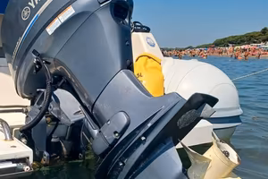 yamaha getl 40 cv