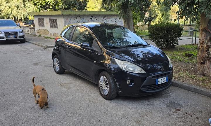 Auto Ford ka