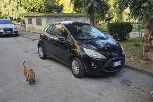 Auto Ford ka