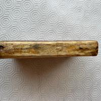 Poesie di Francesco Lorenzini.