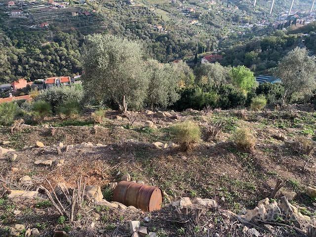 Terreno di 120 m² a Vallebona - Vista 5