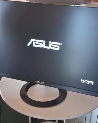 monitor Asus 