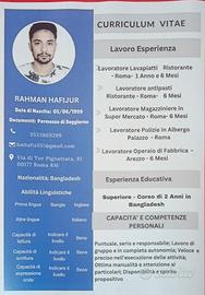Lavapiatti