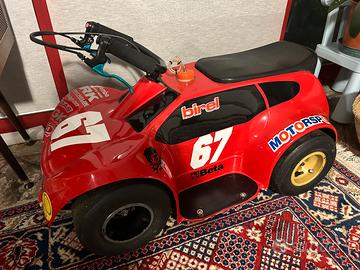 Birel mini kart