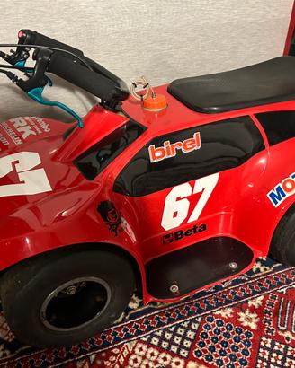 Birel mini kart