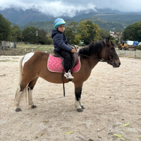 Pony femmina