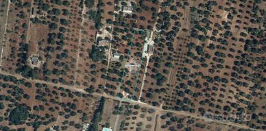 TER. AGRICOLO A SAN VITO DEI NORMANNI