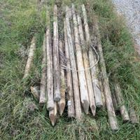 Pali trattati Stebo vigneto giardino