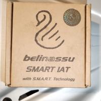 Smart IAT per Moto Guzzi V 85 TT