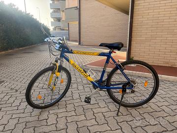 Bicicletta MTB