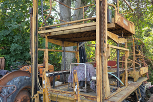 Carro raccolta leoni