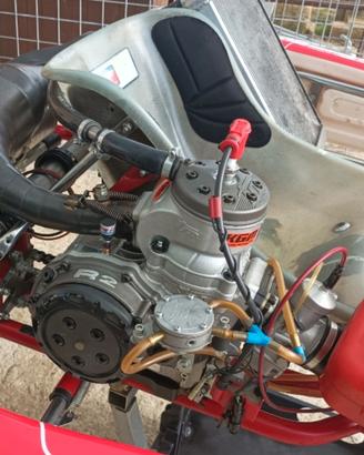motore TM R2 