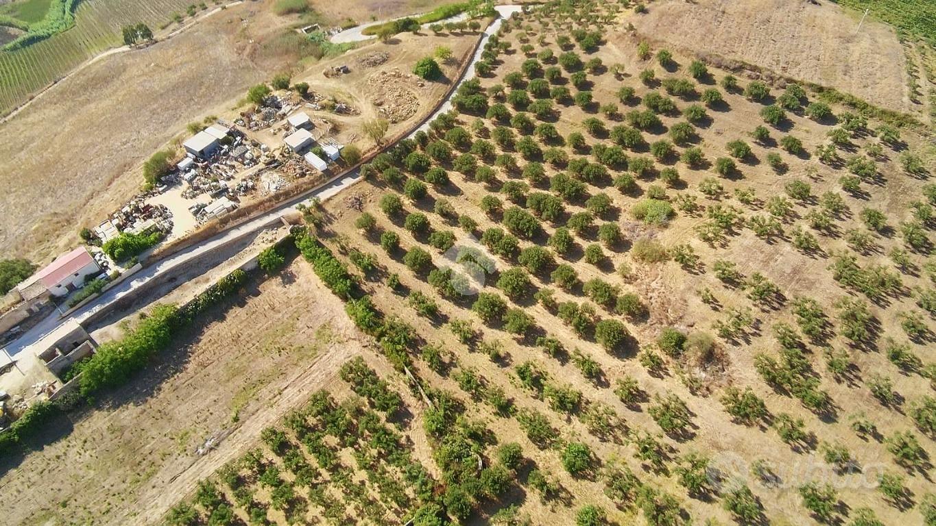 TERRENO A ALCAMO - Vista 2