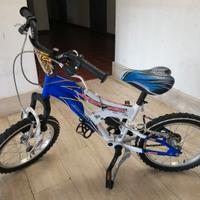 Bicicletta bambino R16